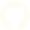 github icon